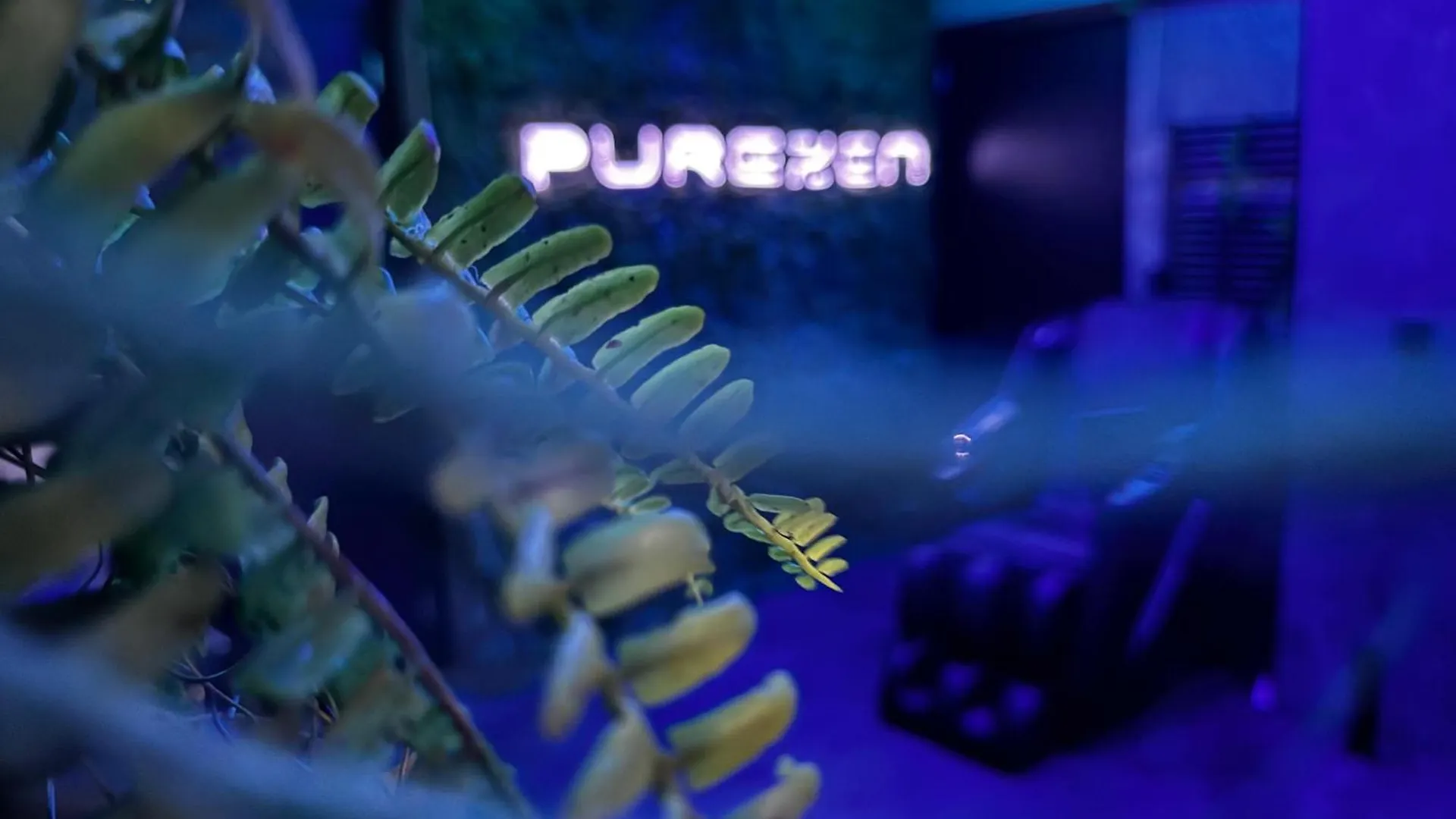 Spartementen By Pure-Zen Rotterdam Nederland